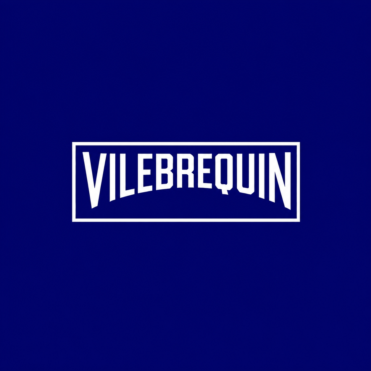 Vilebrequin